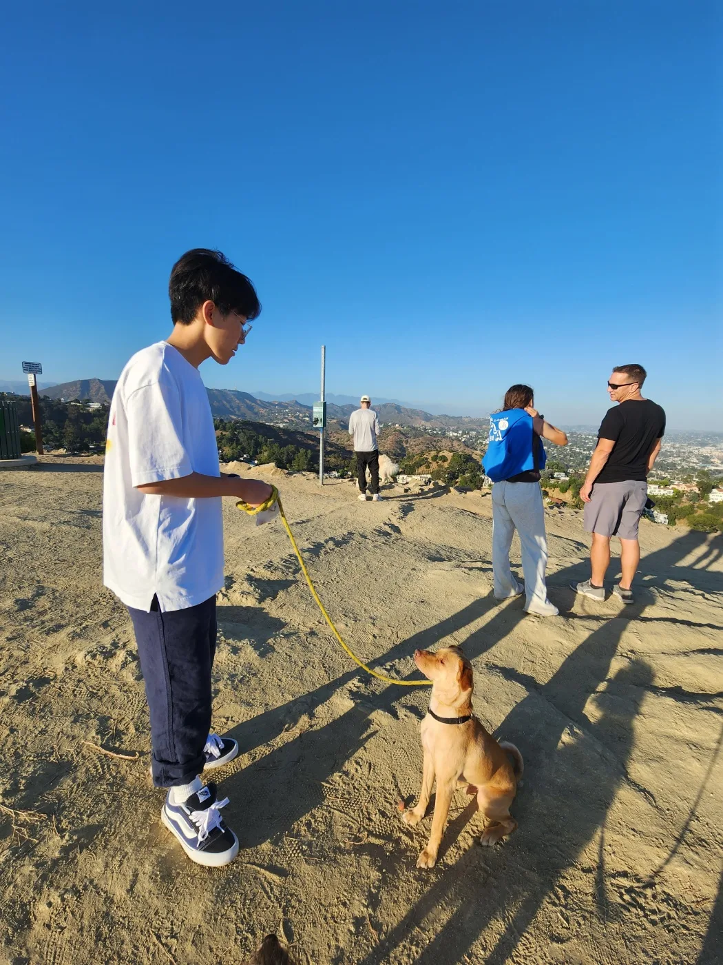 Rescue-Dog Walking, Free Animal Doctor